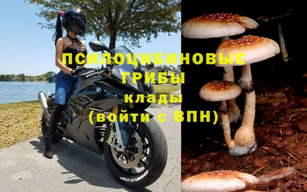 гашик Балахна